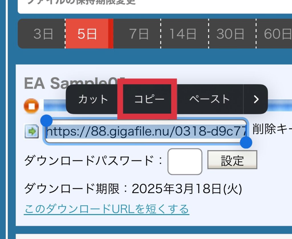 fx自動売買(ea)をMT4に設置して稼働する方法、メールで送られてきたex4ファイルをVPSに保存する方法、ファイルをギガファイルにアップロード、URLコピー